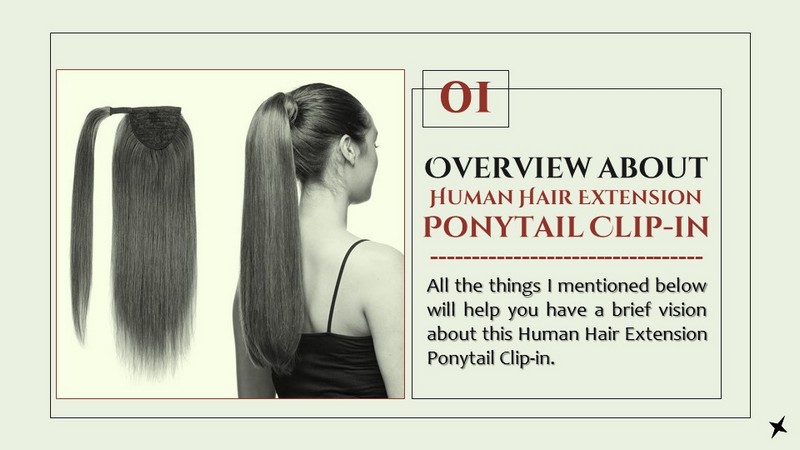 Overview about Human Hair Extension Ponytail Clip-in