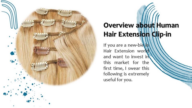 Overview about Human Hair Extension Clip-in 